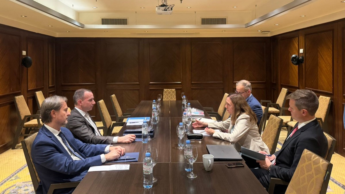 Jović on Cooperation with the International Holocaust Remembrance Alliance
